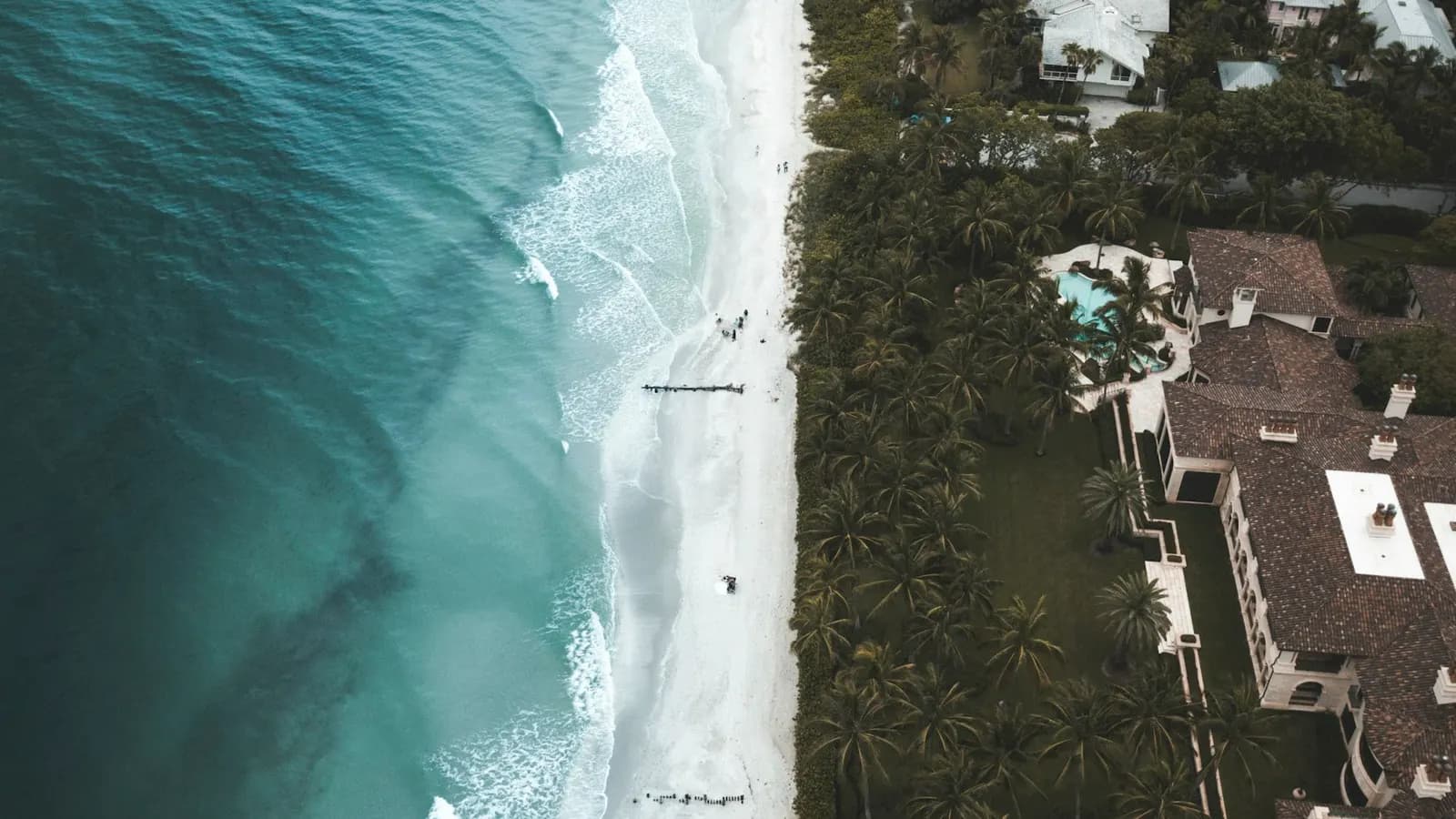 Aerial view of homes and palms along the beach in Naples