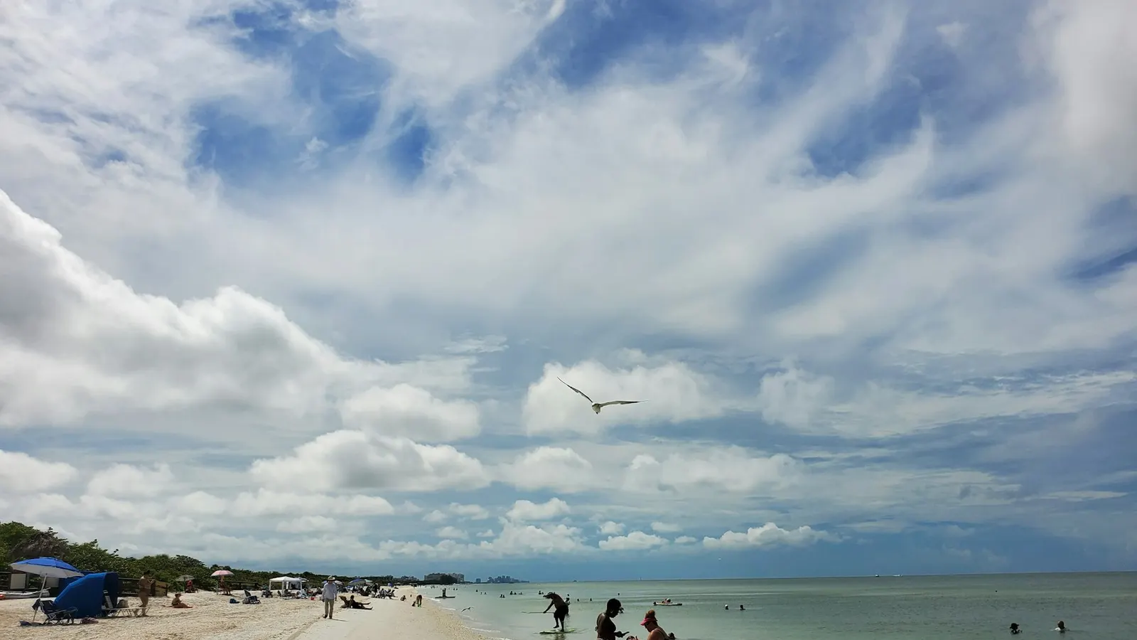 Families wading at a Naples beach under a big blue sky