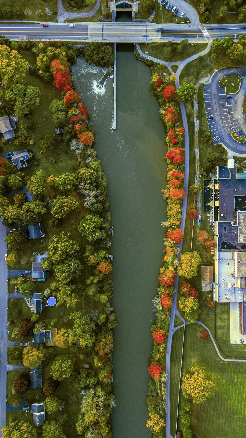 Aerial view of the river winding through fall trees