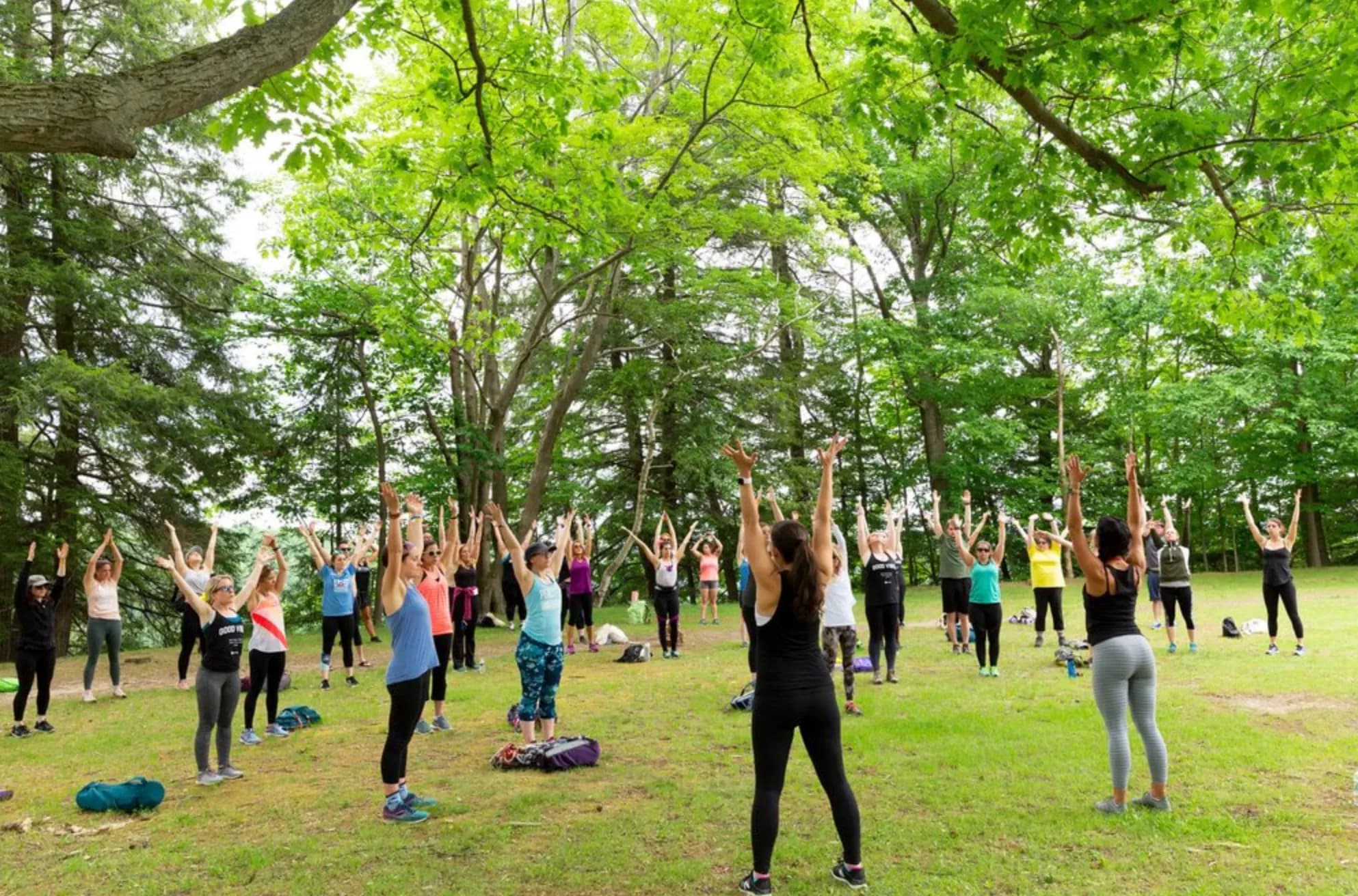 Large group doing yoga under the trees at a Hikyoga event